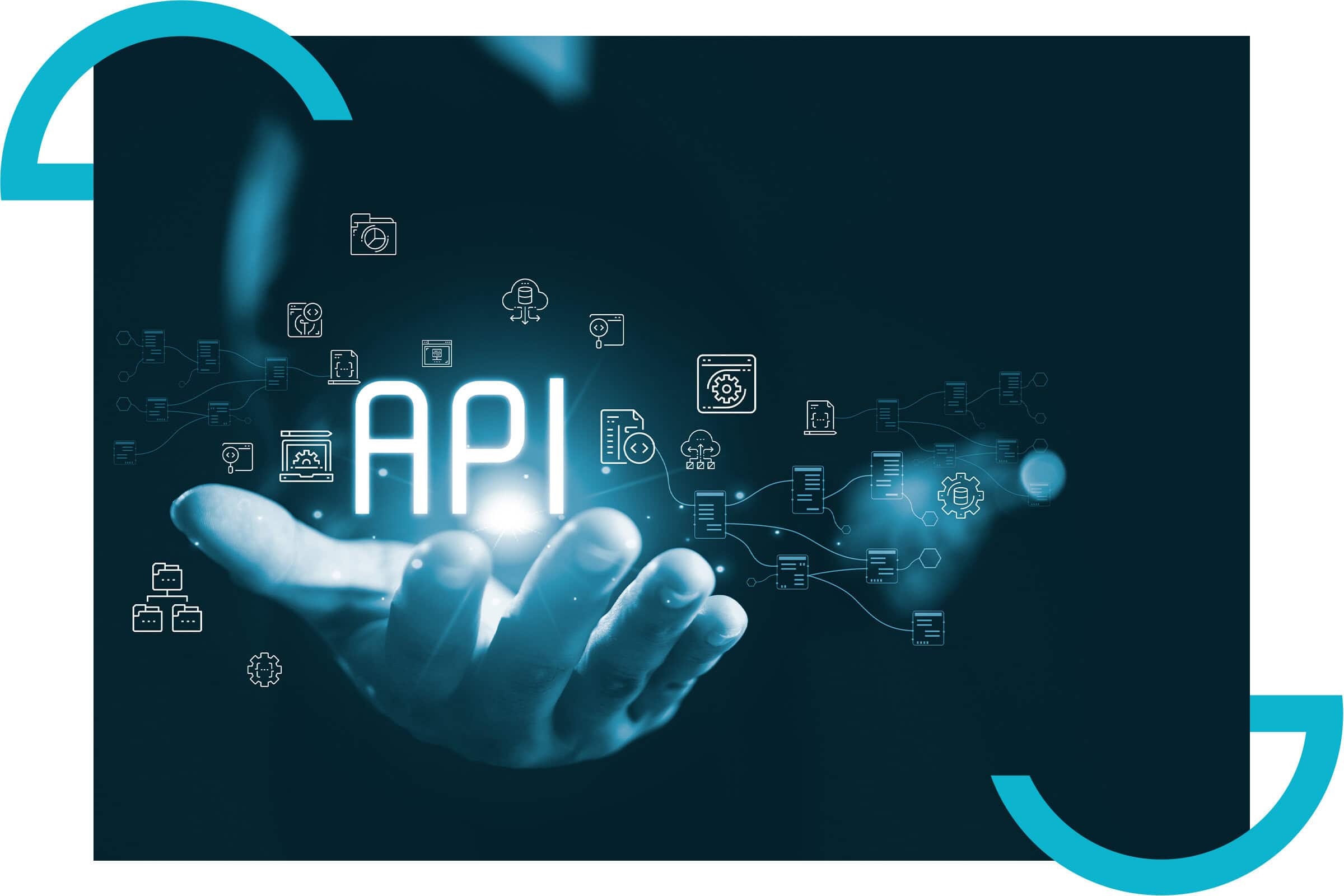 Custom website integrations and bespoke development connecting business systems